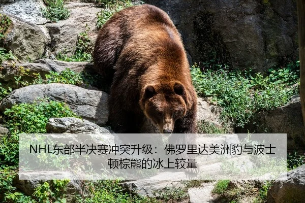 dong-bu-ban-jue-sai-chong-tu-sheng-ji-fu-luo-li-da-mei-zhou-bao-yu-bo-shi-dun-zong-xiong-de-bing-shang-jiao-liang-3-466.jpg