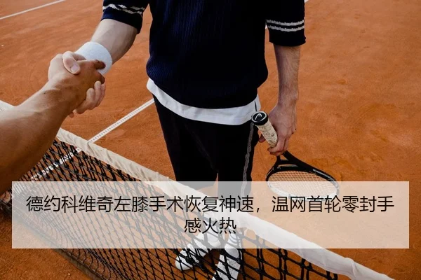 de-yue-ke-wei-qi-zuo-xi-shou-shu-hui-fu-shen-su-wen-wang-shou-lun-ling-feng-shou-gan-huo-re-2-828.jpg