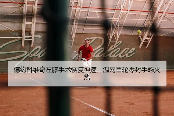 de-yue-ke-wei-qi-zuo-xi-shou-shu-hui-fu-shen-su-wen-wang-shou-lun-ling-feng-shou-gan-huo-re-3-112.jpg