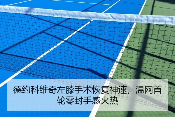 德约科维奇左膝手术恢复神速，温网首轮零封手感火热