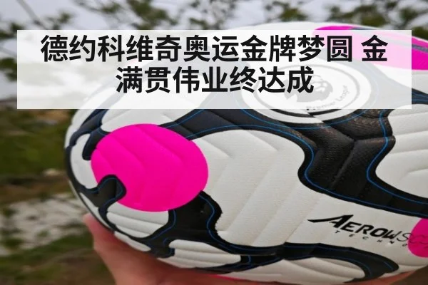 德约科维奇奥运金牌梦圆 金满贯伟业终达成